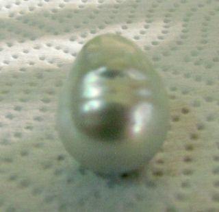 LARGE SOUTH SEAS SALTWATER 20 BY 16 WHITE PEAR SHAPED PEARL WITH