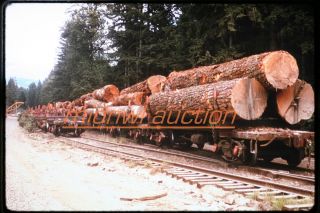 1973 Slide Weyerhaeuser Log Load Scene Marcola Oregon Logging