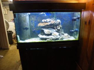 Saltwater Fish Tank Set Up 90GALLON Overflow Freshwater Also