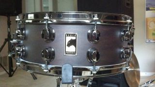 rare Mapex 14x5 5 Black Panther Deep Forest Snare Drum KILLER SOUND no