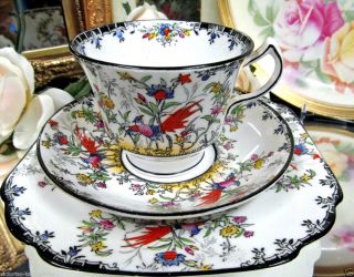 Melba Teacup Bird of Paradise Tea Cup and Saucer Trio