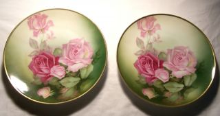  pair Thomas Sevres Bavaria Mentone handpainted 10 diam rose plates