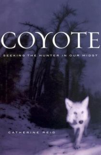 Coyote Seeking the Hunter in Our Midst by Catherine Reid 2004