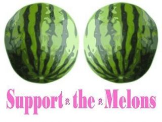Breast Cancer Awareness Save Melons Iron on Transfer