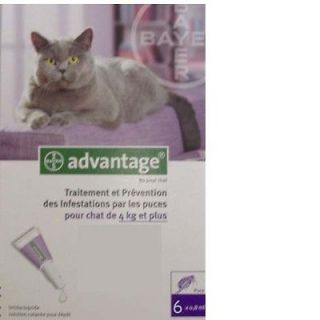 ADVANTAGE CAT OVER 9 LBS 6 MONTHS SUPPLY