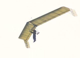 icarus hang glider processed wood