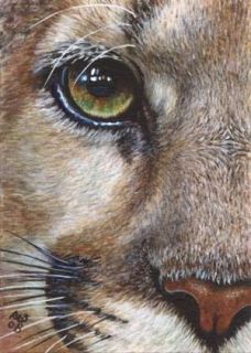 akiko l e aceo print cougar lion 9 big cat