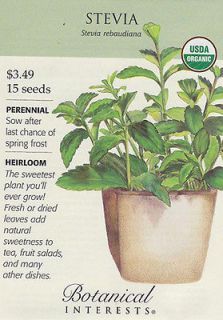 Stevia   15 Seeds   Organic Heirloom Seed