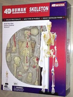 4D Masters Human SKELETON Anatomy Model Science 26059 puzzle