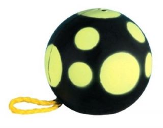 Reinhart Rinehart field archery target ball 9 portable black yellow