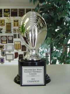 AWESOME FANTASY FOOTBALL TROPHY AWARD SILVER RESIN NEW!