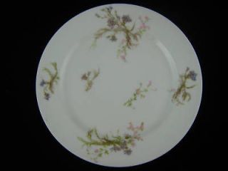 Frank Haviland Limoges Salad Plate Unknown Pattern