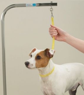 GROOMER RESTRAINT NOOSE LOOP for Pet DOG Cat Bath Grooming Table Arm