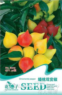 Pepper Seed ★ 20 Vegetable Seed Ornamental Edible Peach Shaped Green