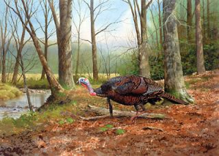 Wayne Spragley S/N Wild Turkey print THE BIG BOSS
