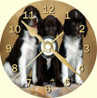 Springer Spaniel Pups Cd Clock Can be personalised