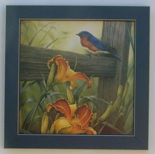 Country Bluebirds Flowers Birds Country Framed Print Art For Interior