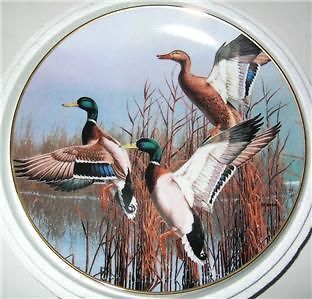 Danbury Mint HAZY ASCENT David Maass Ducks Taking Flight Ltd Ed Plate