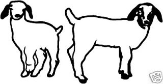 Boer Goat #6 Decals Farm Animal Window Stickers 6