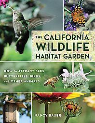 California Wildlife Habitat Garden: How to Attract Bees, Butterflies