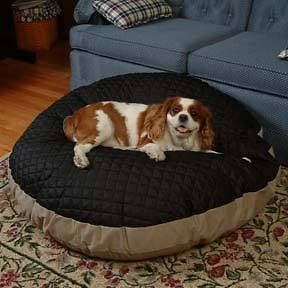 Snoozer Quiltie Round Pillow Dog Pet Bed Cedar Poly Fill Small Med