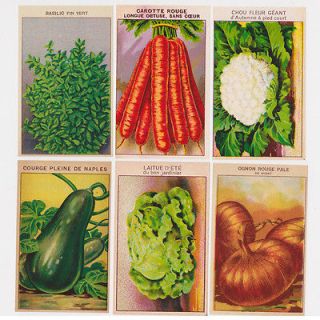 24 Vintage French Vegetable Seed Packet Labels (Set B) Garden