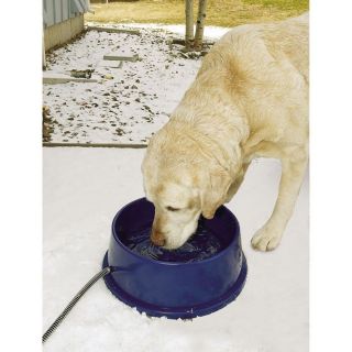 Pet Products Thermal Heated Dog Pet Water Bowl