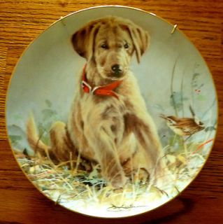 Franklin Mint Eye To Eye Golden Retriever Lab Puppy Dog Plate