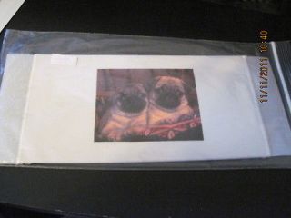 Newly listed Pug Puppies Can Drink Cooler Wraps Handmade 