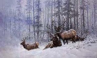 Larry Fanning Mountain Majesty Bull Elk AP Artist Proof Ltd Lithograph