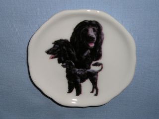 Portuguese Water Dog Porcelain Plate Magnet Fired Figurine Decal 64 3