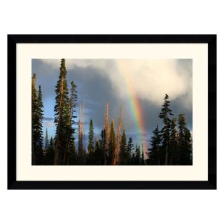 J and S Framing LLC Alpine Rainbow Framed Wall Art   38.62W x 28.62H in.