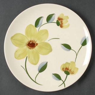 Blue Ridge Southern Pottery Green Eyes Luncheon Plate, Fine China Dinnerware   S