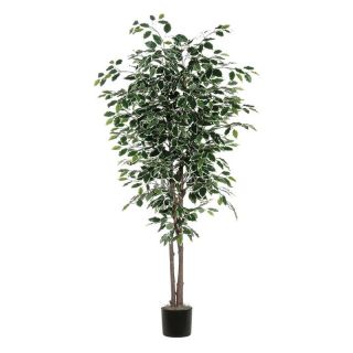 Vickerman 6 ft. Variegated Ficus Deluxe with Natural Trunk Silk Tree Multicolor