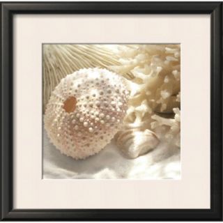 Art   Coral Shell I Framed Print