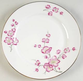 Heinrich   H&C 14852 Dinner Plate, Fine China Dinnerware   Pink Flowers, White B