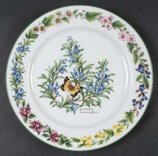 Royal Worcester Worcester Herbs Green Trim Dinner Plate, Fine China Dinnerware  