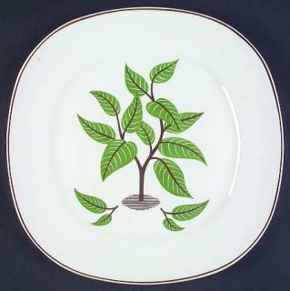 Taylor, Smith & T (TS&T) Coffee Tree (Brown Ring) Dinner Plate, Fine China Dinne