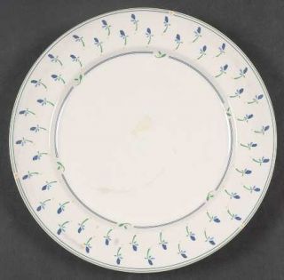 Arita Picnic Salad Plate, Fine China Dinnerware   Newtraditions,Floral Center,Bl