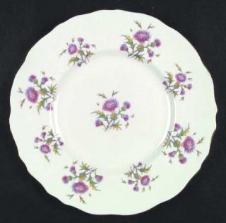 Royal Cauldon Thistle Dinner Plate, Fine China Dinnerware   Pink/Blue Flowers,Gr
