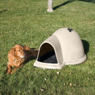 Petmate Indigo Dog House Package with Pad & Door Multicolor   DOS141