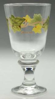 Franciscan Ivy Ii (England) 14 Oz Glassware Goblet, Fine China Dinnerware   Engl