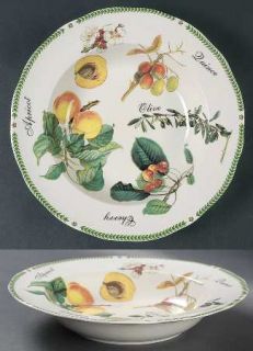 Royal Traditions Botanical Fruit Rim Soup Bowl, Fine China Dinnerware   Various